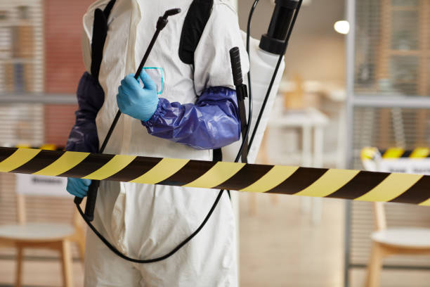 Professional Hoarding Cleanup technician working in Huntsville, MO